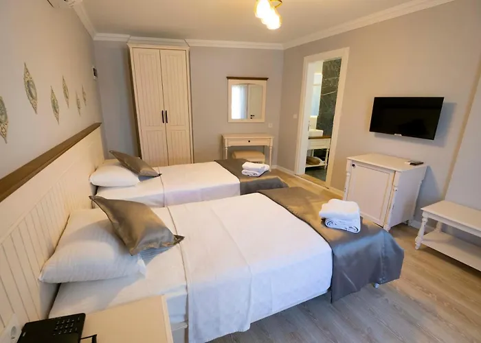 Icarus אלאקאטי