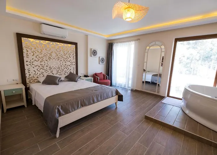 Icarus אלאקאטי