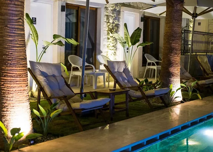 Icarus אלאקאטי