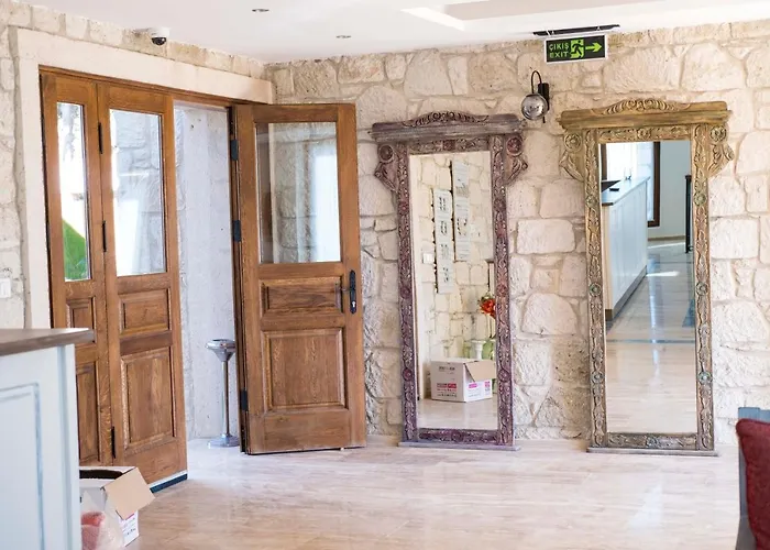 Icarus אלאקאטי