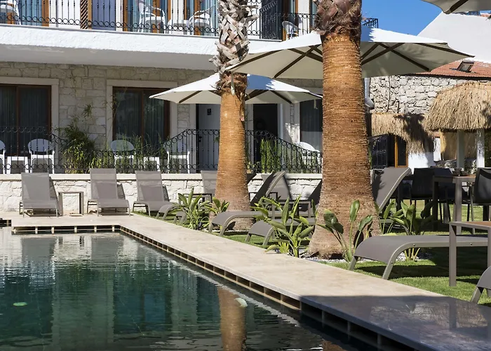 מלון Icarus אלאקאטי