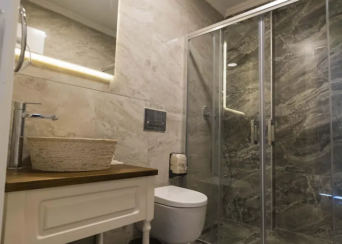 Icarus 3* אלאקאטי